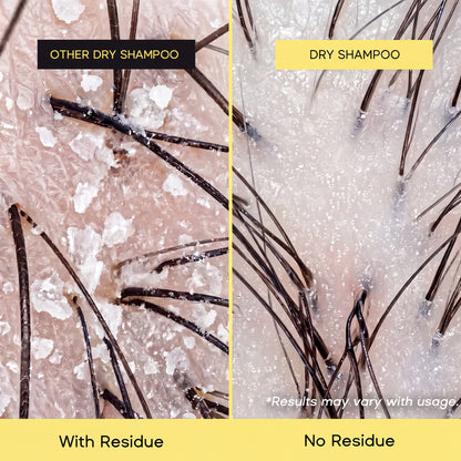 Volumizing Dry Shampoo – photo 4